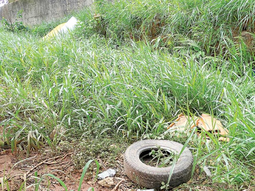 Prefeitura realiza limpeza em terrenos privados para evitar a proliferação da dengue