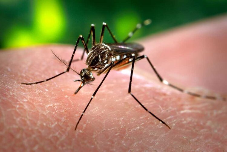 Posse participa do 3º Mutirão Regional de Combate ao Aedes aegypti