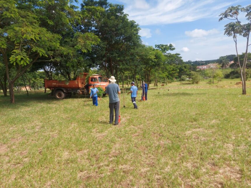 Arborização avança em Santo Antônio de Posse com plantio de 100 mudas de árvores nativas