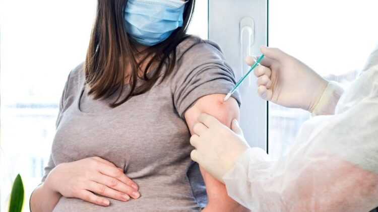 Gestantes e puérperas já podem receber a vacina bivalente contra Covid-19